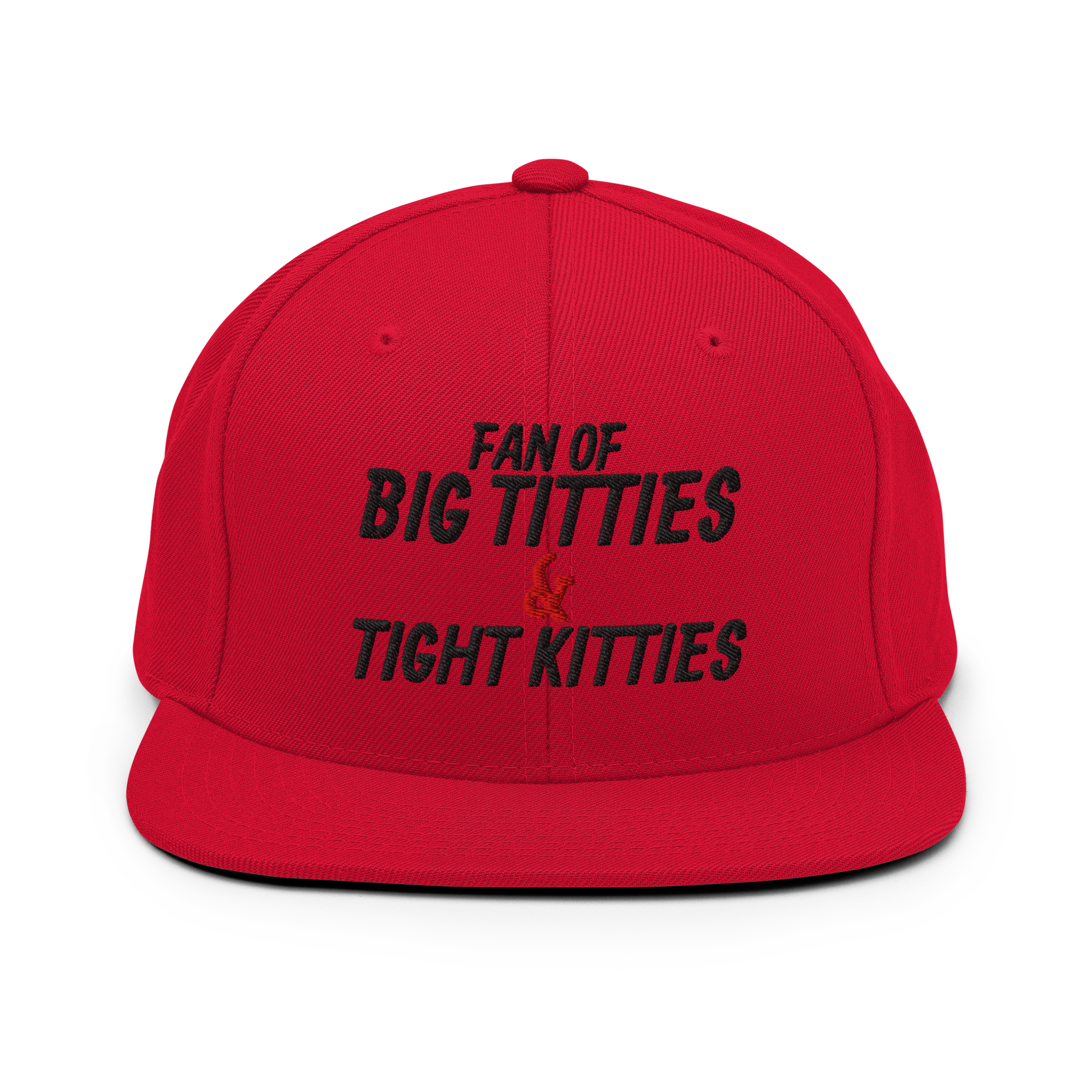 “Fan of Big Titties & Tight Kitties” Snapback Hat 😏🐱
